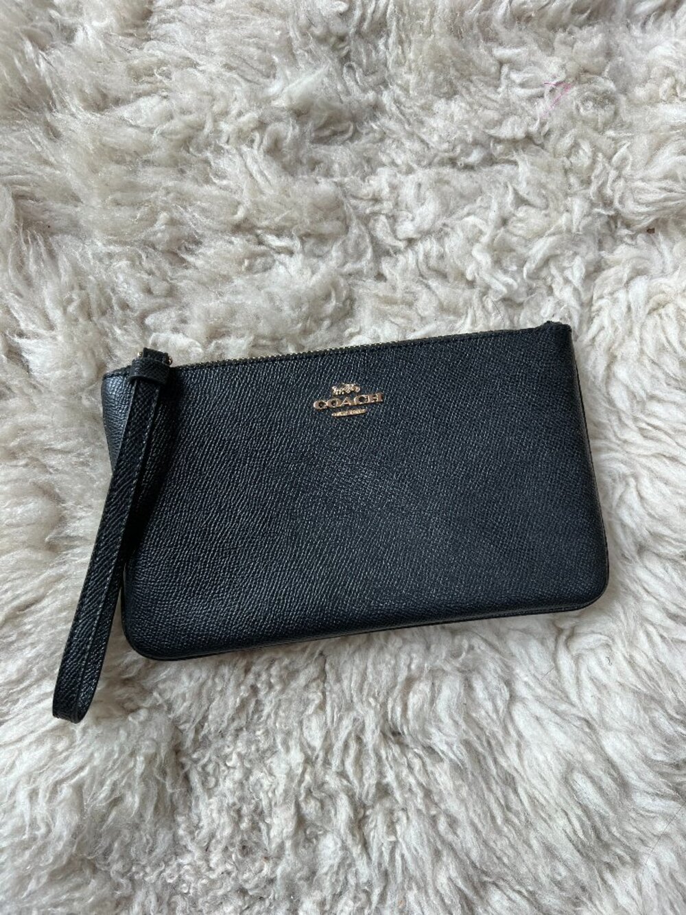 Small Coach Clutch Purse